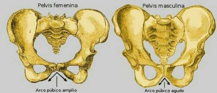 Movimiento Nacionalista Izhanih (MNI) tweet media