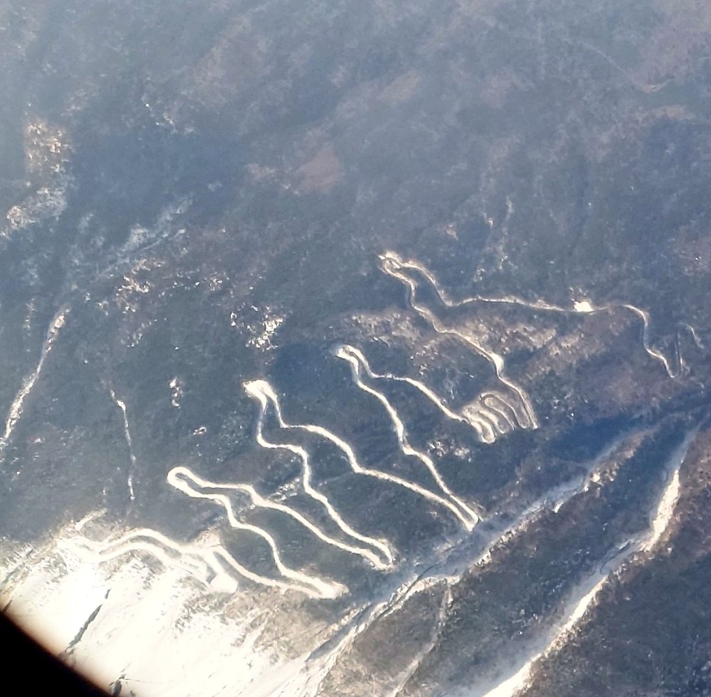 ちゅうりっぷ🌷 tweet media