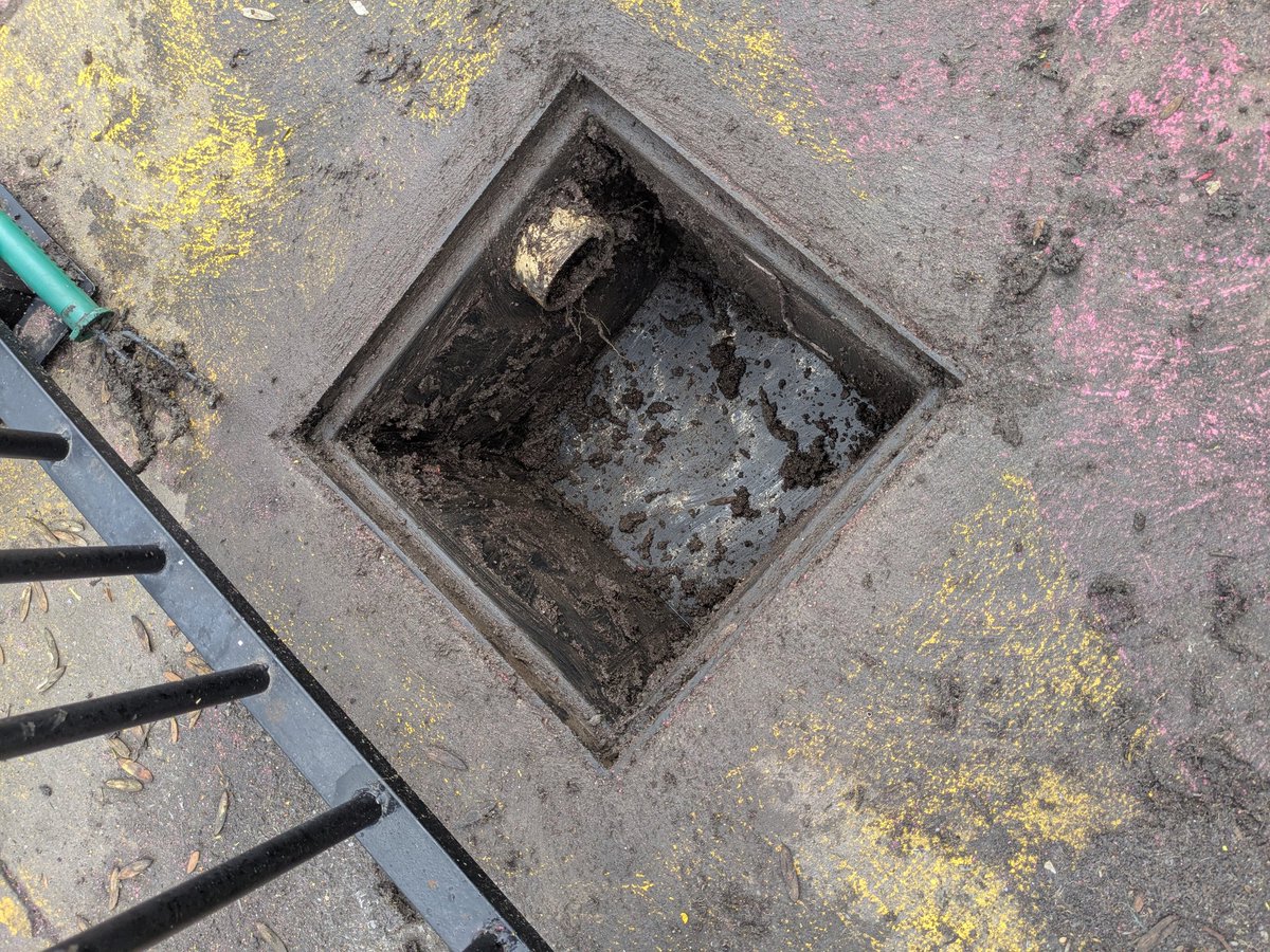 Marcus Wong tweet media