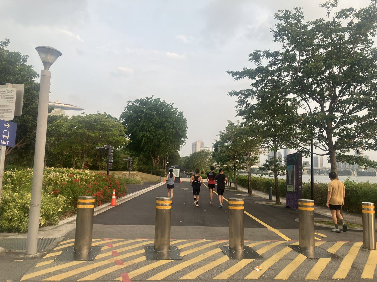 けいこ🇸🇬 tweet media