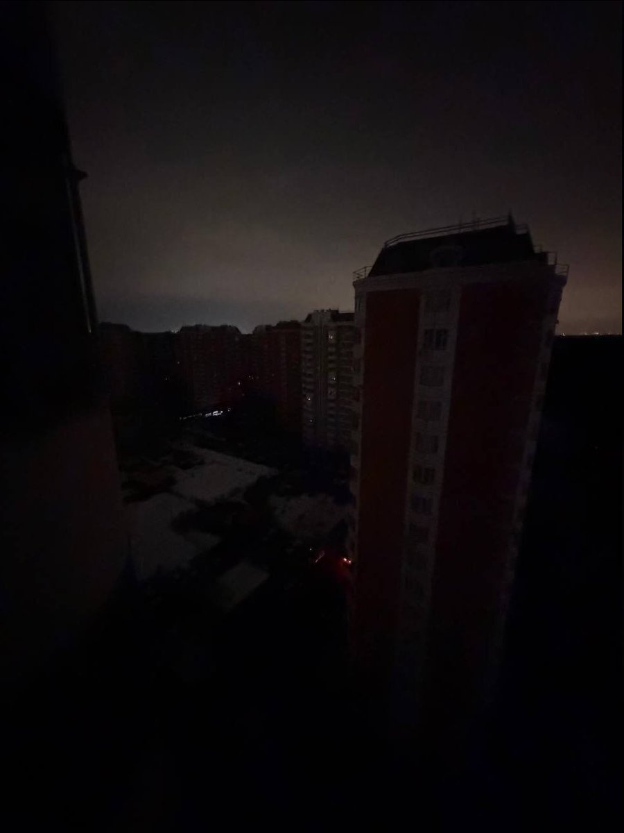 Paula Branco tweet media