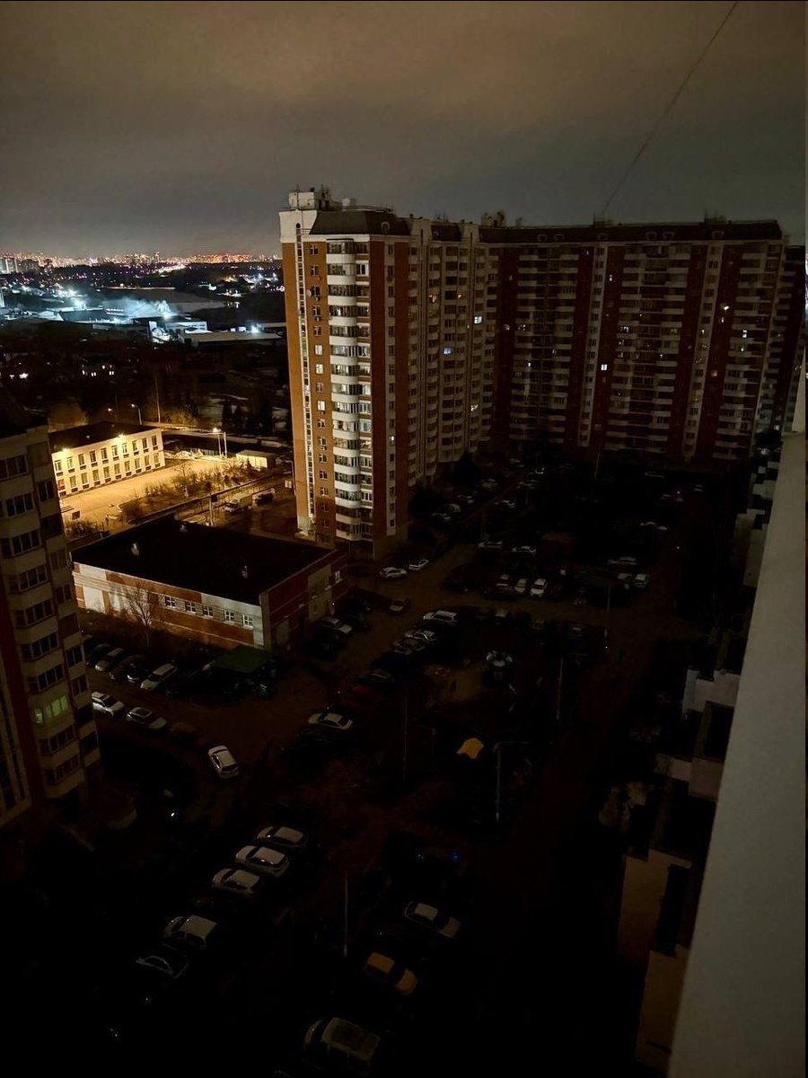 Paula Branco tweet media