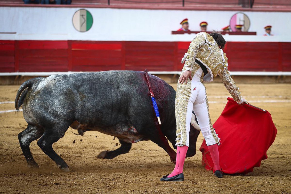 NTR Toros tweet media