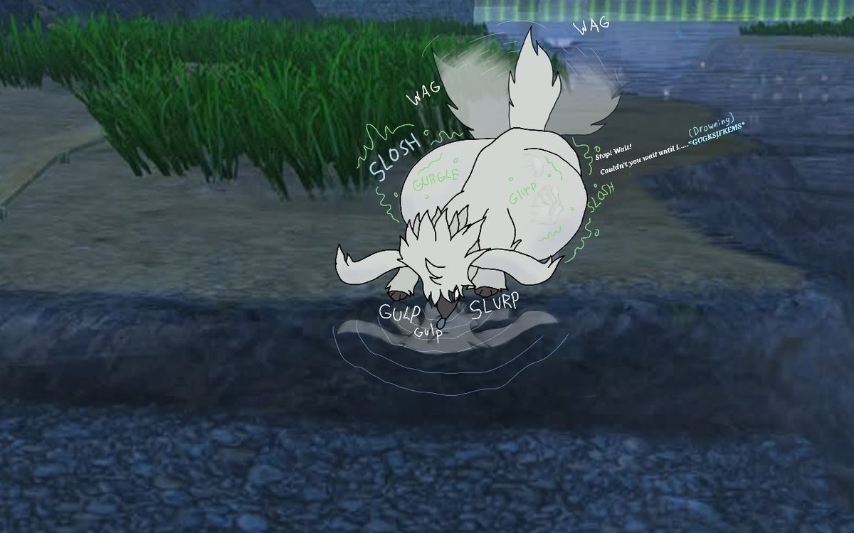 Belly Vet Anthony tweet media