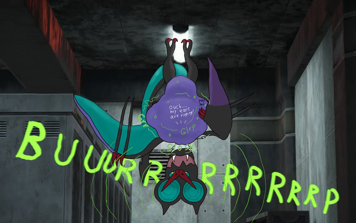 Belly Vet Anthony tweet media