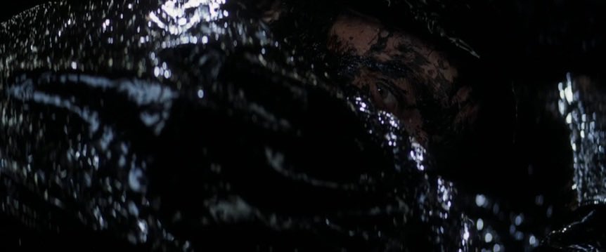 Kyle | CalderDune tweet media