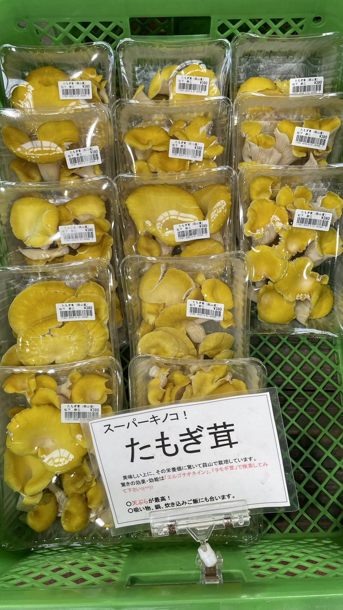 道の駅 風の家 tweet media