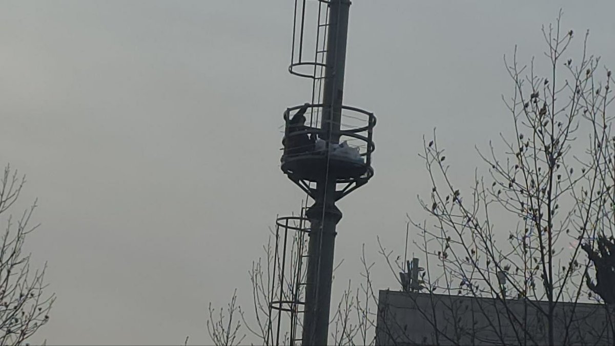 김진숙 tweet media