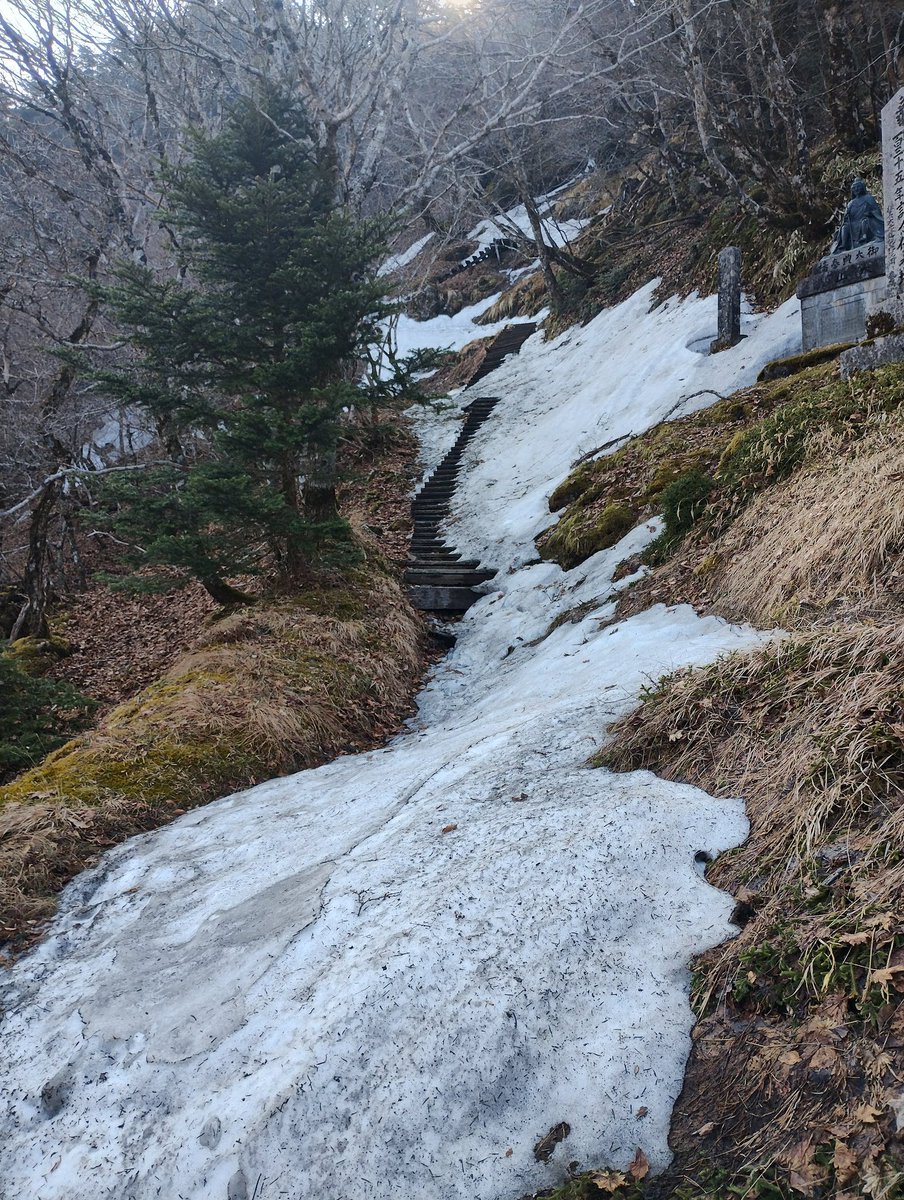 おおさかYM413 tweet media