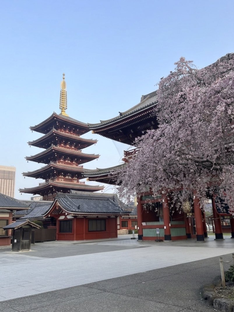 お❤︎''さん… tweet media