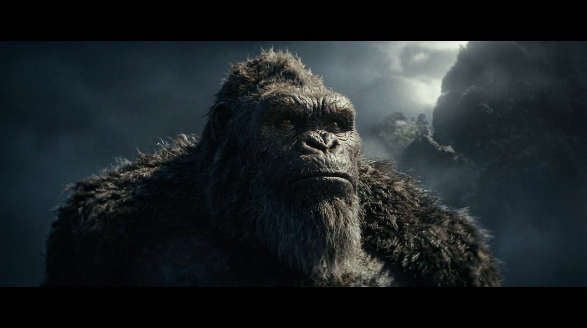 El Satisir tweet media