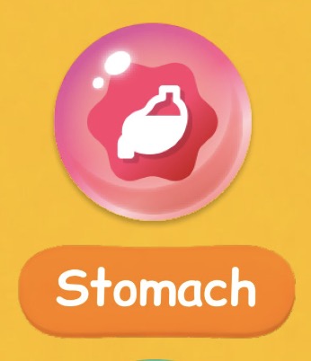 bONGO 💫 tweet media