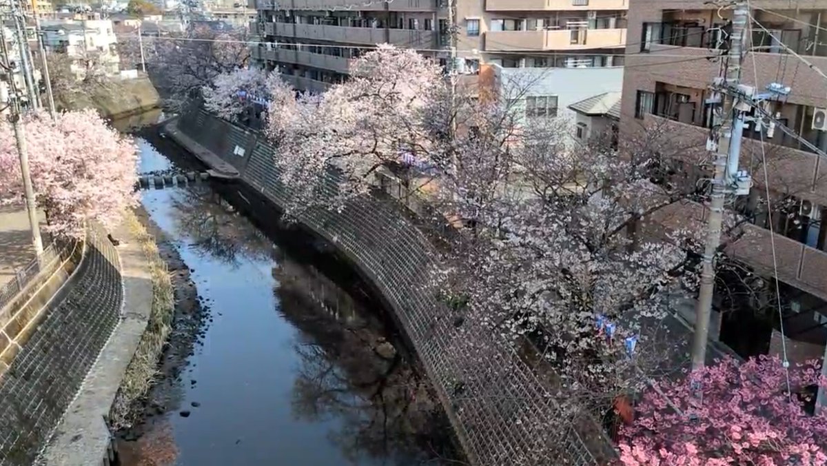 ライブカメラDB tweet media