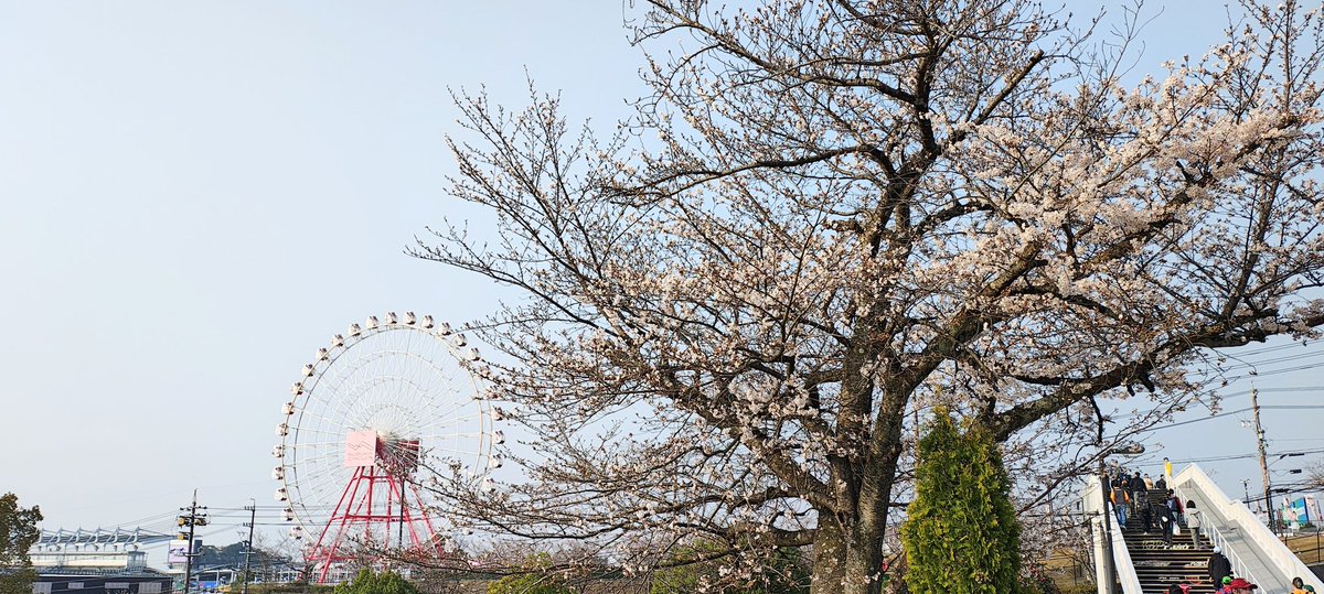 ゆーすけ🦒@single_traveler tweet media