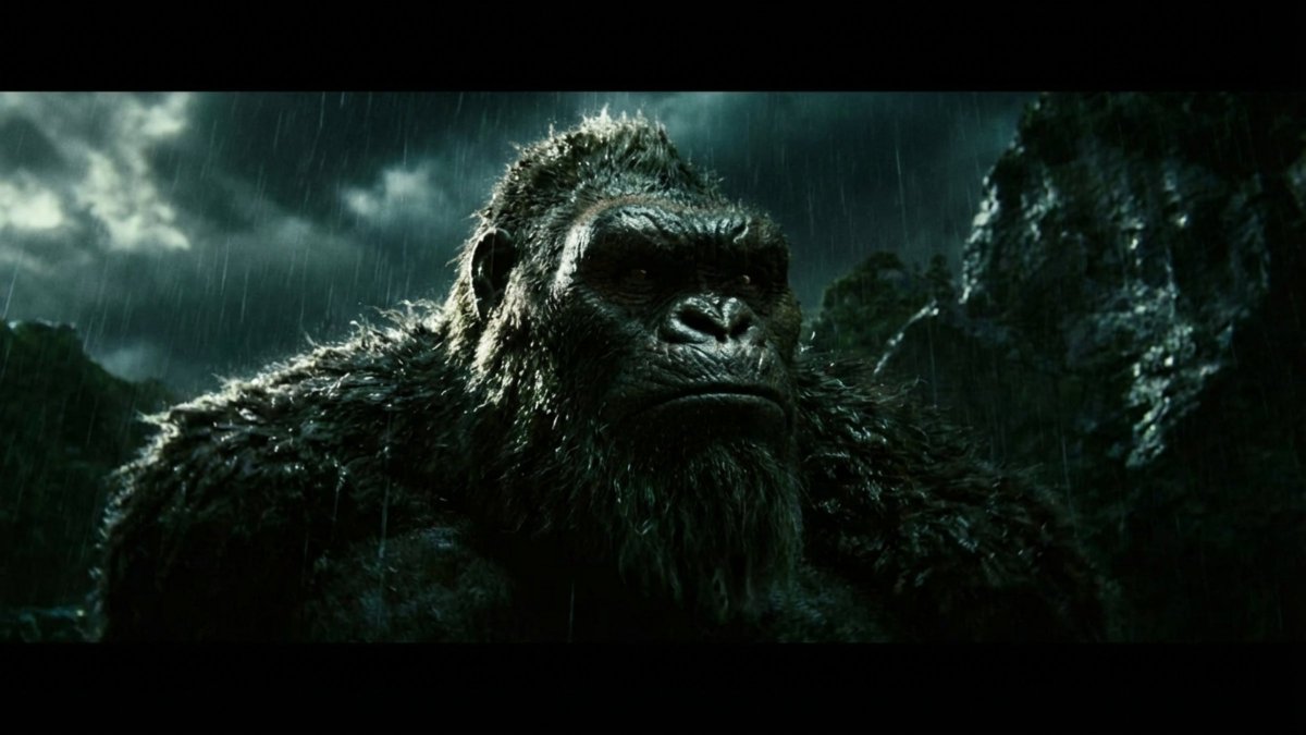 El Satisir tweet media