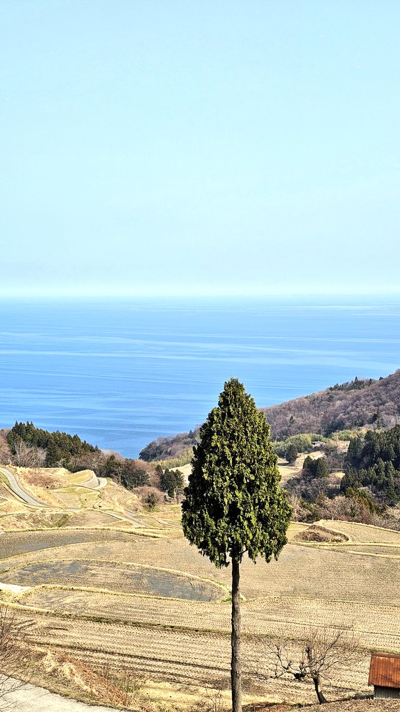 nosedann's tweet photo. 佐渡って本当に「日本」って感じの風景と生活文化
 #佐渡ヶ島 https://t.co/SL5kFtM6e6