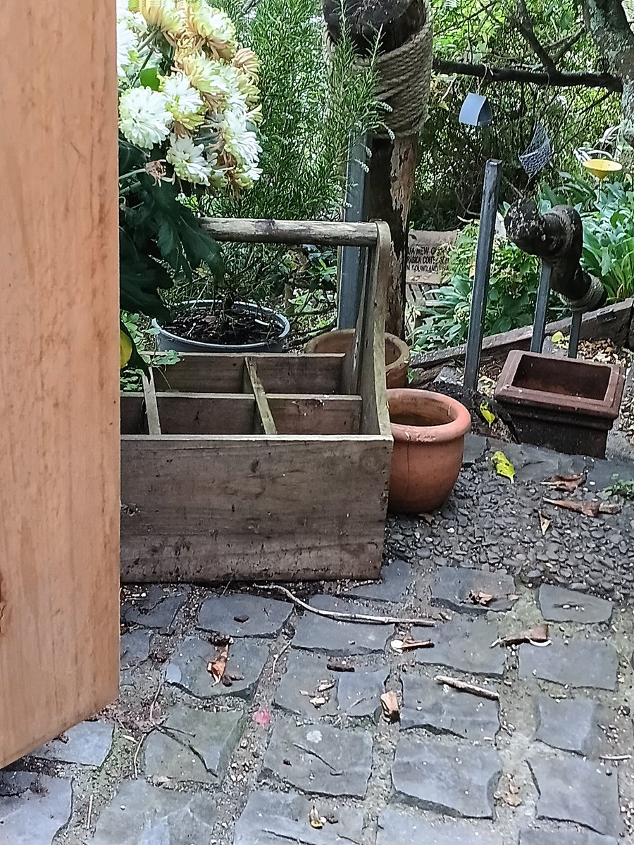 Helen McNaught tweet media