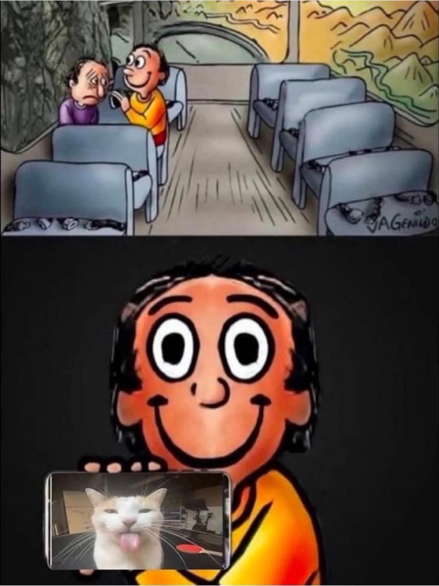 Cat Posted tweet media