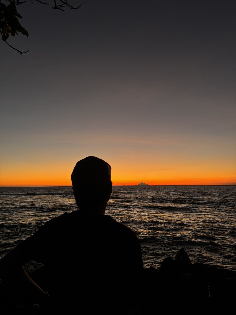 cryptofluencer tweet media