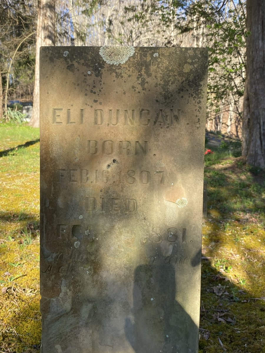 TheodCyning tweet media