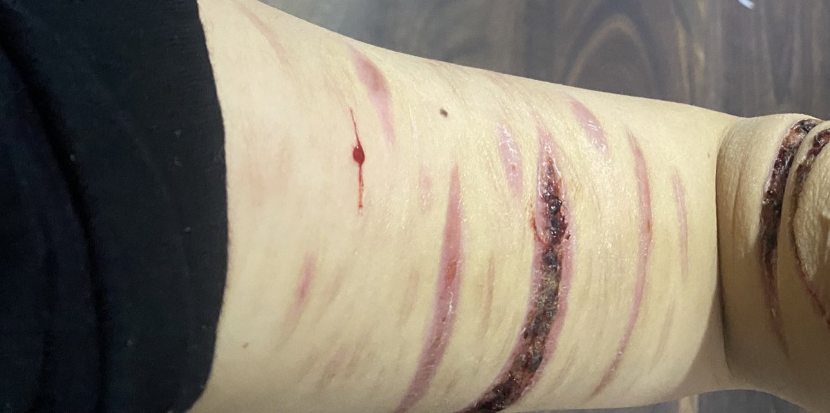 Dove † • Vittorino of shedtwt • † tweet media