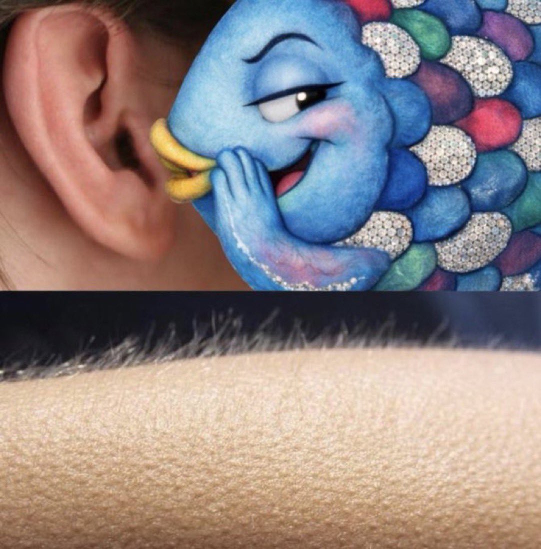 Rainbow Boonga 🐟🌈 tweet media