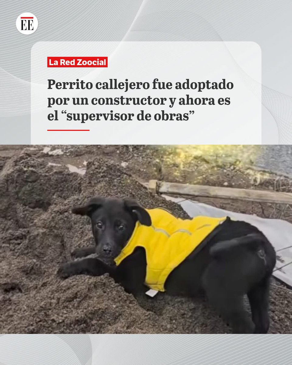 Memes Universidad Nacional tweet media