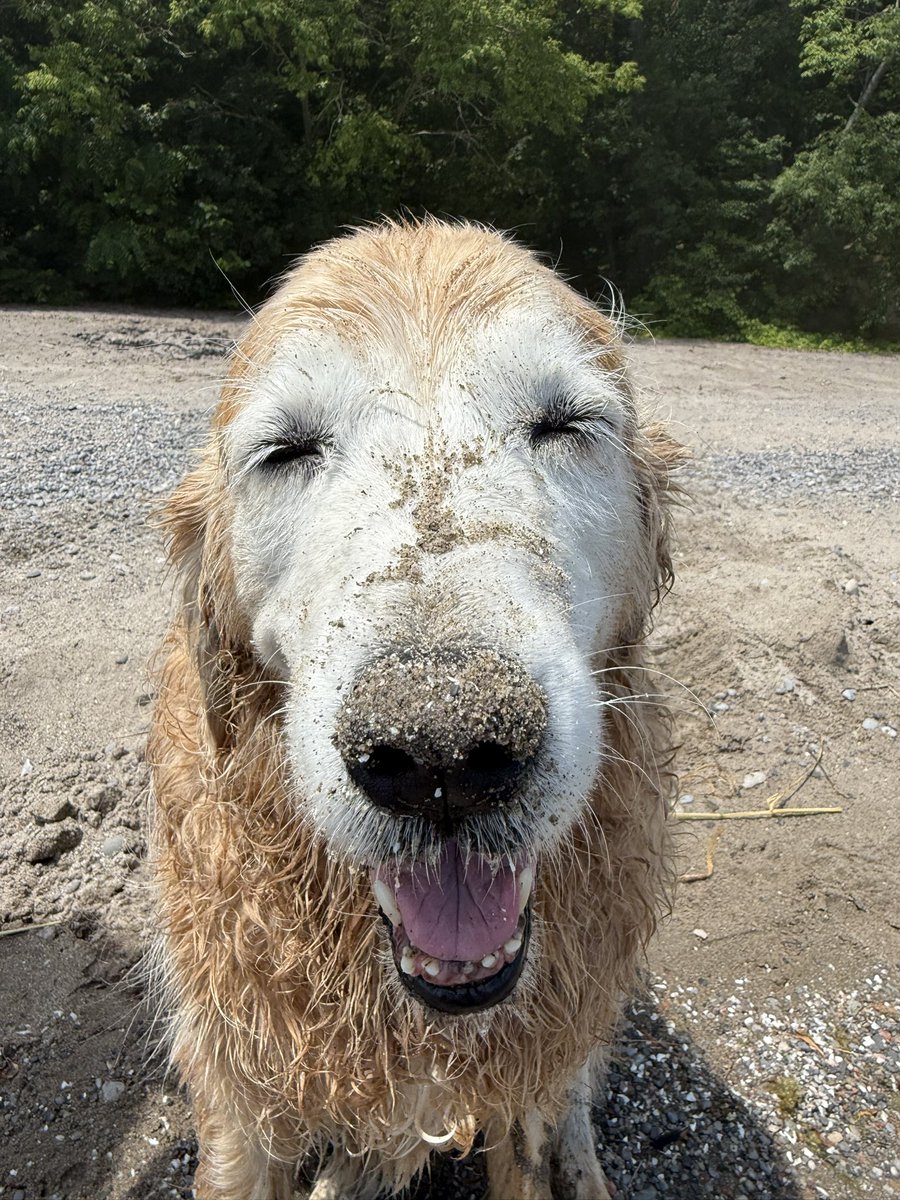 Nick Barden tweet media