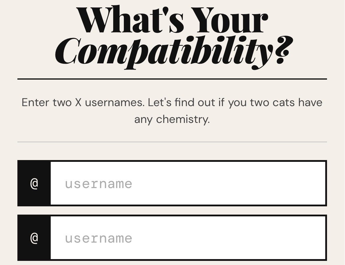 norc d! cami tweet media