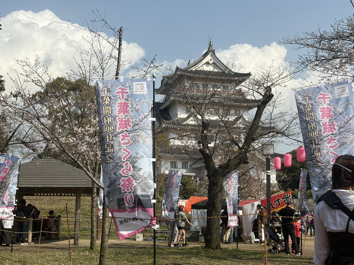千葉城(猪鼻城)の桜祭りに出かけました🌸桜は五分咲きくらい、屋台で花より団子な私でありました…🍺本来は当日閉館予定の千葉城は無料開放され千葉の街の展望も見渡せましたよ〜、本日あたりは桜はもっと見頃かも。