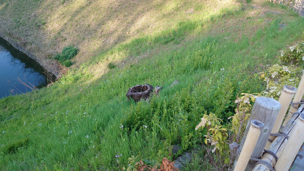 ぼんでゅ～る tweet media