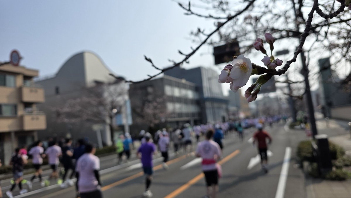 Fun Runner🐈️Rossa tweet media