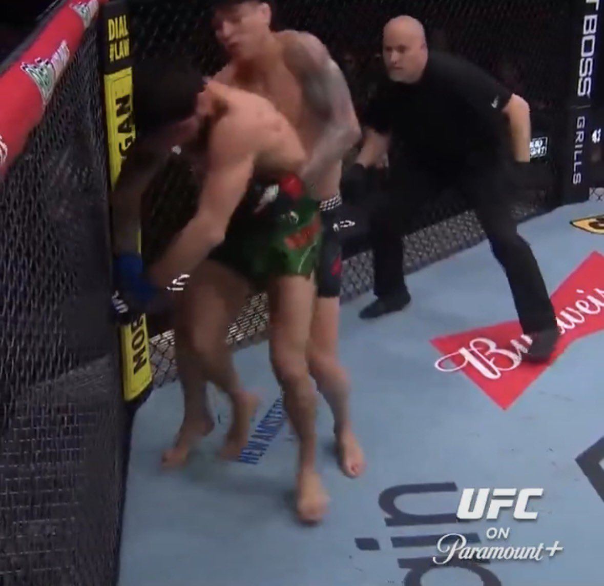 VerdictMMA's tweet image. AWFUL fence grab from Musayev.

#UFCSeattle