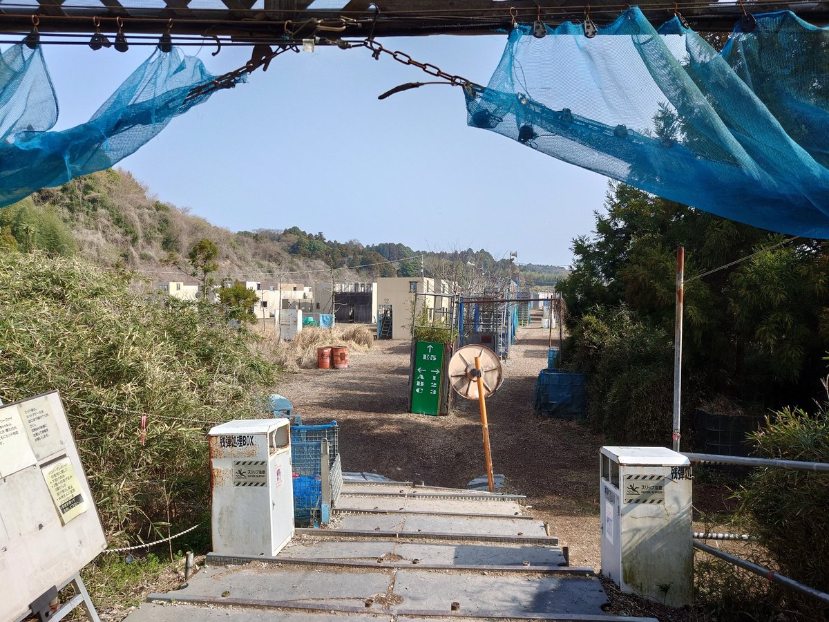 越前0x tweet media