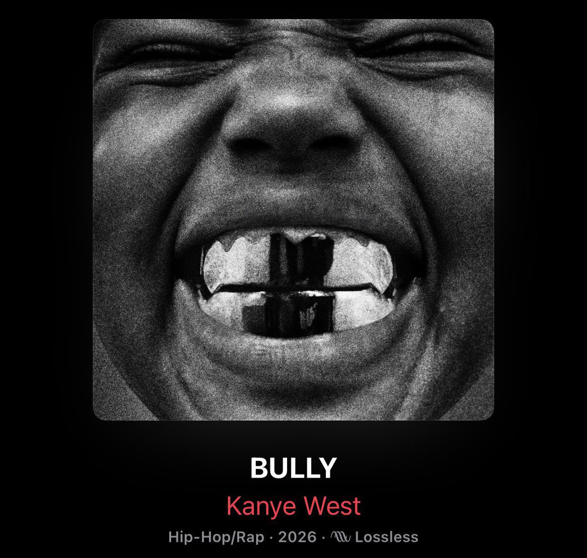 Dobson 🦋 tweet media