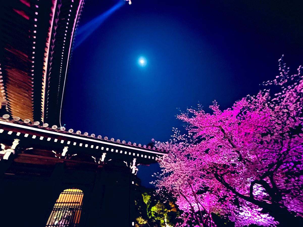 内藤聡 tweet media