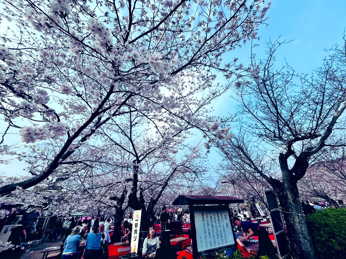 内藤聡 tweet media