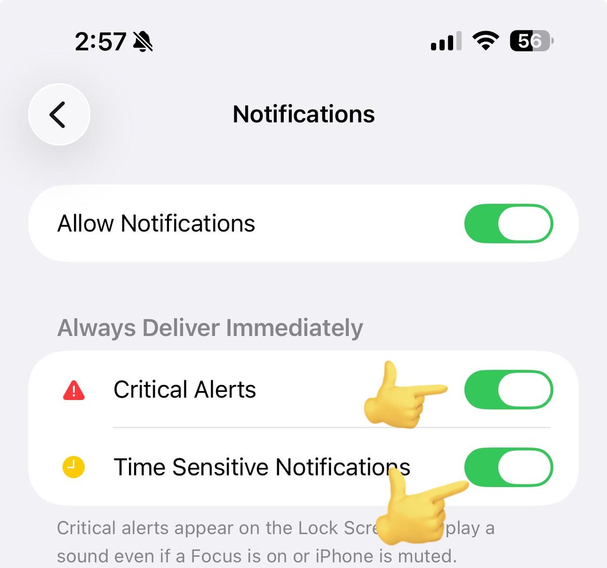 𝕏 ابراهيم عبدالله النجدي 🇰🇼 tweet media