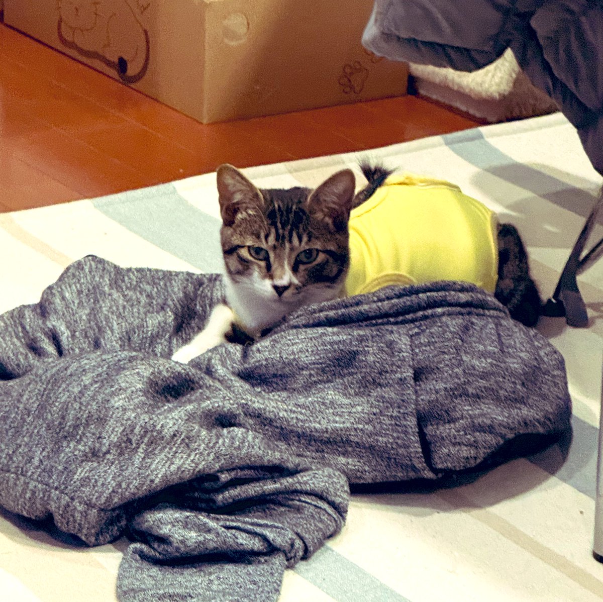 valuer5460's tweet image. これから東京に向かいます。2日前に誰か合流する？ってテレグラムに書き込んで、誰からも連絡来ないけど泣かない。