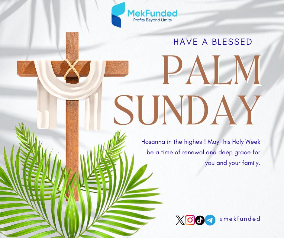 MekFunded tweet media