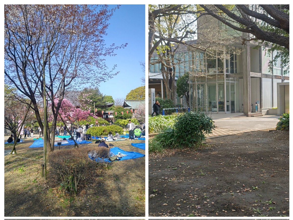 夢色気流 tweet media