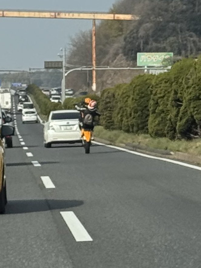 岡山のビーバー tweet media