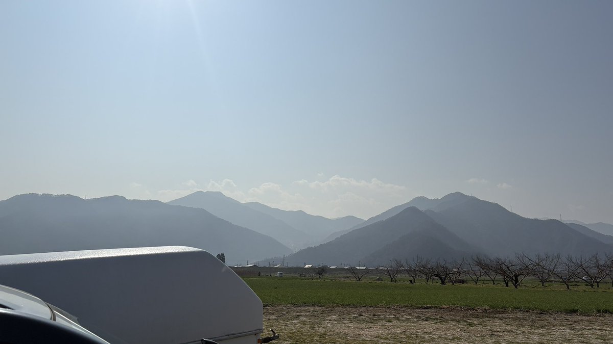 Miyamoto tweet media