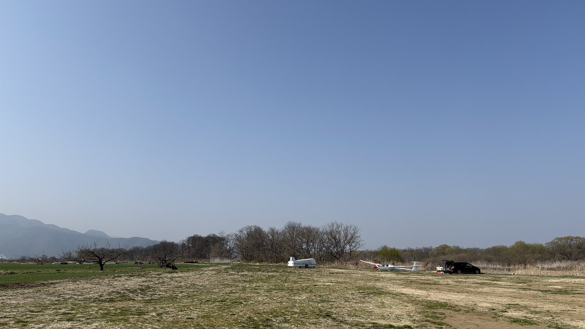 Miyamoto tweet media