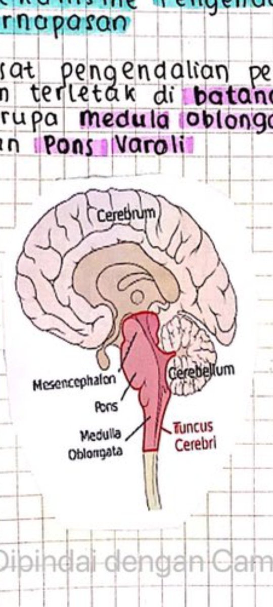 lutesha'27👷‍♀️ tweet media