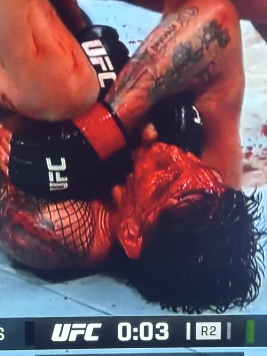 MMA 🦈 tweet media