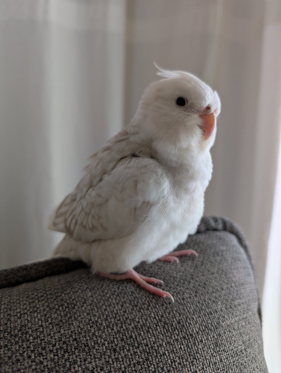 さこま@ロードバイク tweet media