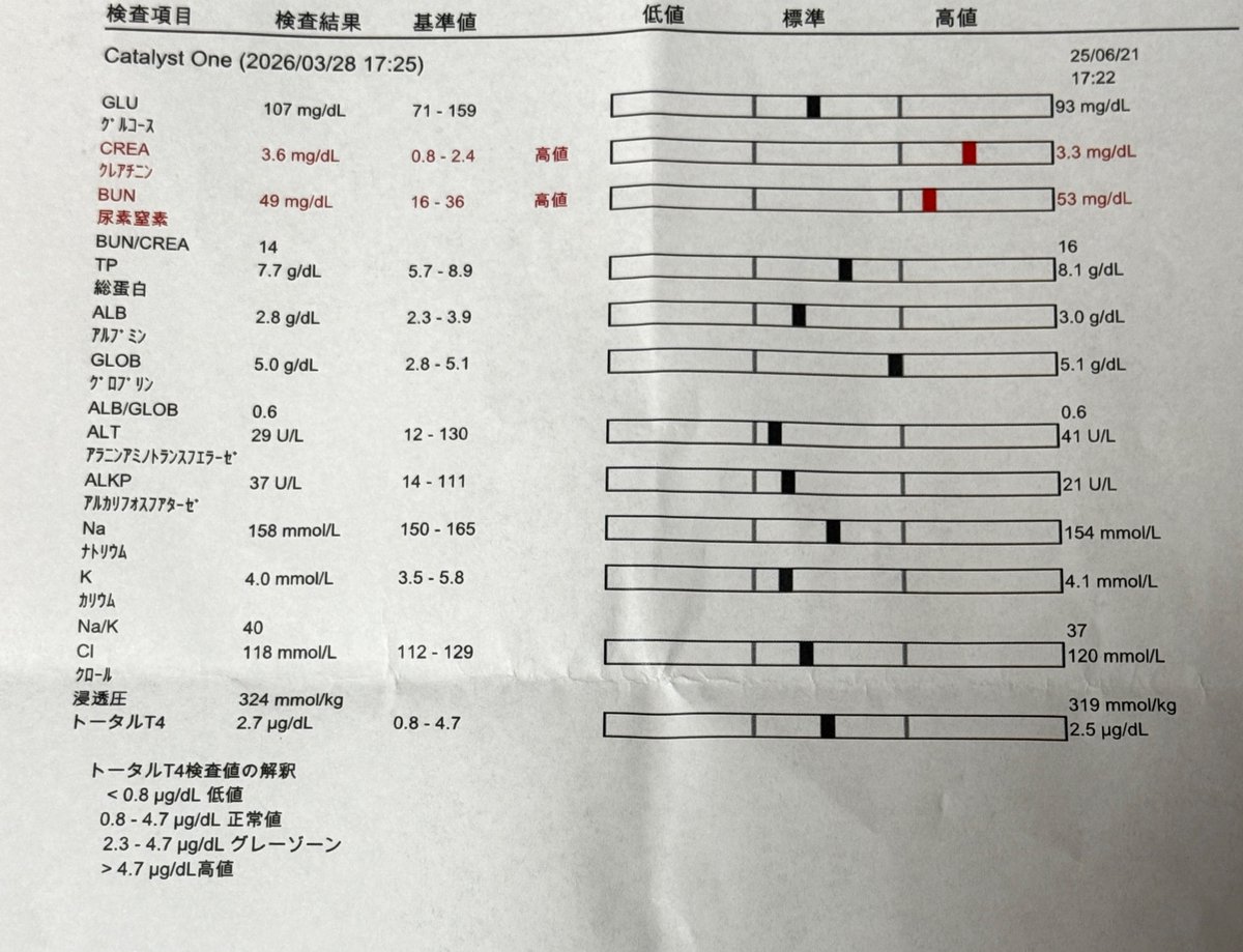 ipnekoyon's tweet photo. 鬼女さんしっかり
21歳老婆だった血液検査。
まだまだ健やかであれ。 https://t.co/tK7x78WjWd