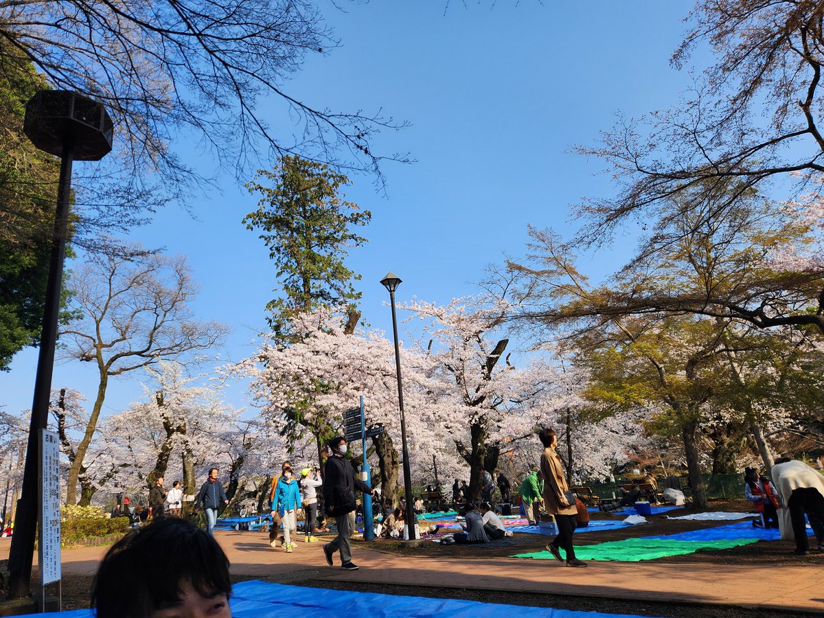 じゅんちー tweet media