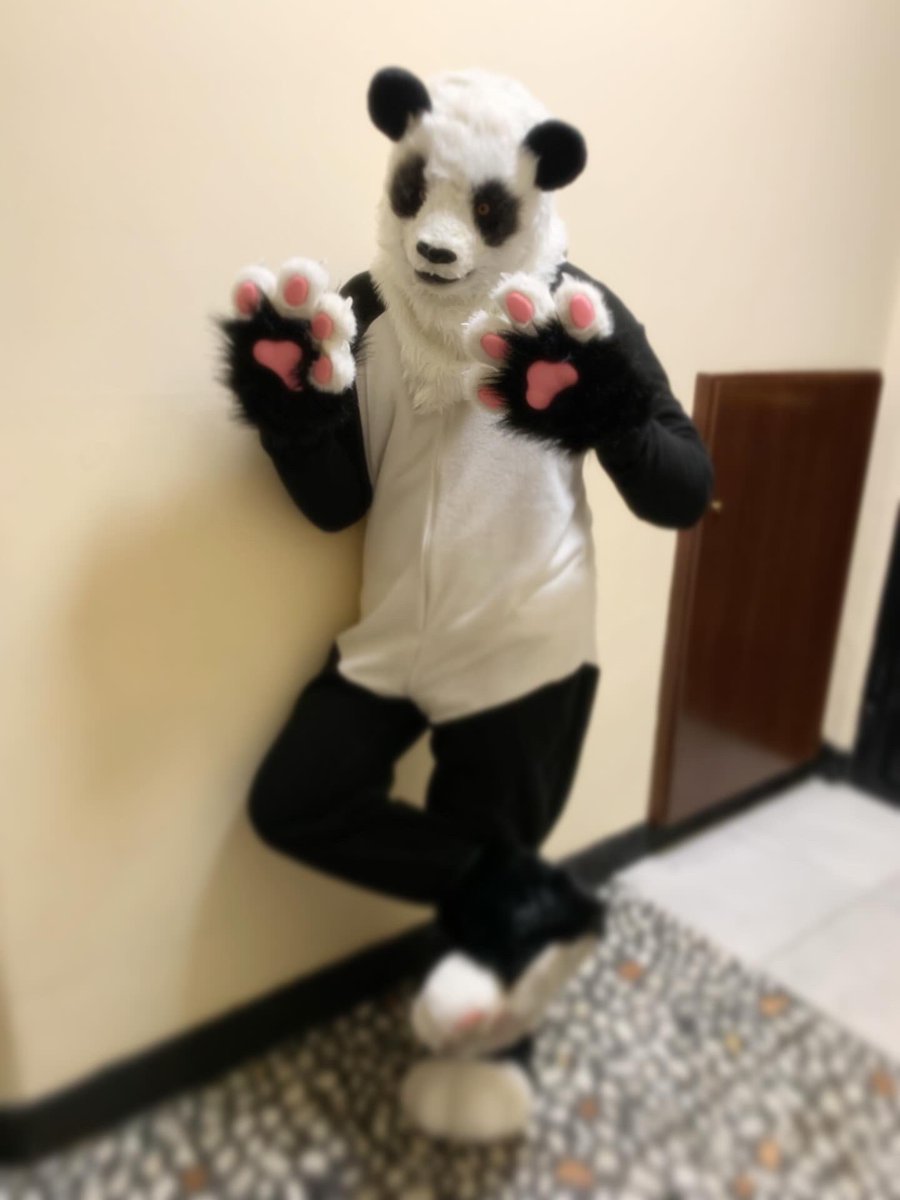 _PandaFurry_'s tweet photo. @DaKorgo Hi!! 🐼🐼 
/@/Pandaabra on IG https://t.co/LMjToJ0rcS
